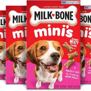 How We Brightened Treat Time with Crunchy, Wholesome Minis