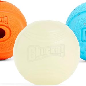 How Our Dogs Found Endless Joy with Chuckit!’s High-Bounce Fetch Trio