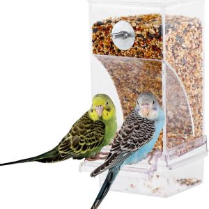 How This Mess-Free Bird Feeder Simplified Our Parrot Care Routine