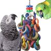 How Our Large Birds Stay Happy and Active with Bagel Fun