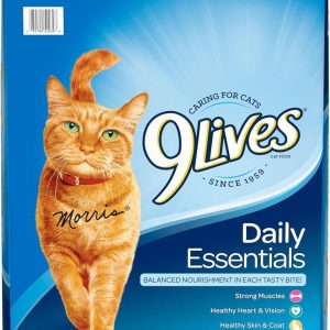 The Balanced Feast Keeping Our Cats Healthy and Happy Daily