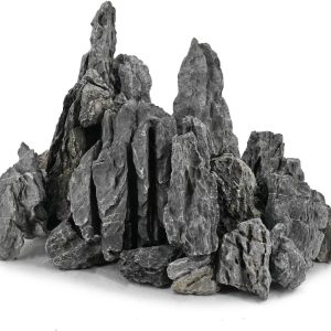 How These Natural Rocks Transformed Our Aquarium’s Ecosystem