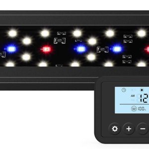 How We Elevated Our Aquascape with Nature’s Light Simulator