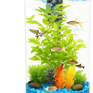 How Our 3-Gallon Aquarium Brings Color and Clarity to Life