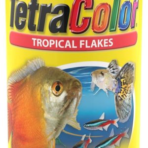How We Keep Our Tropical Fish Vibrant and Healthy with Color-Boosting Flakes