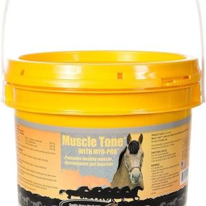 How We Discovered the Key to Stronger, Healthier Muscle Tone