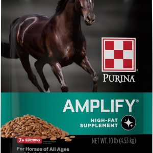 How We Boosted Our Horses’ Energy and Shine with Purina’s High-Fat Blend