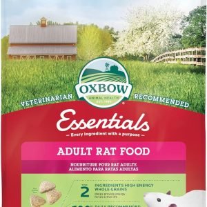 How We Found the Perfect Balanced Diet for Our Adult Rats