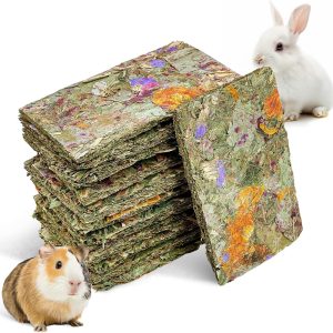 How These Natural Chew Treats Keep Our Small Pets Happy and Healthy