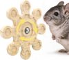 How Our Chinchillas Stay Happy and Healthy with This Rotating Toy