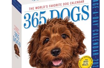 Top Dog Picks: Calendar Joy & Durable Chew Toy Essentials