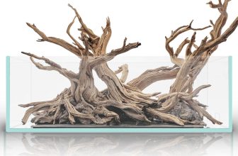 Top Rainbow Fish Care and Aquarium Kits for Every Hobbyist