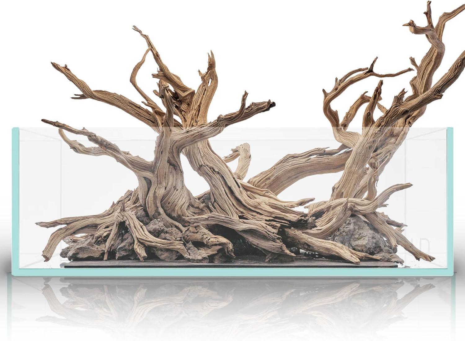 Top Rainbow Fish Care and Aquarium Kits for Every Hobbyist